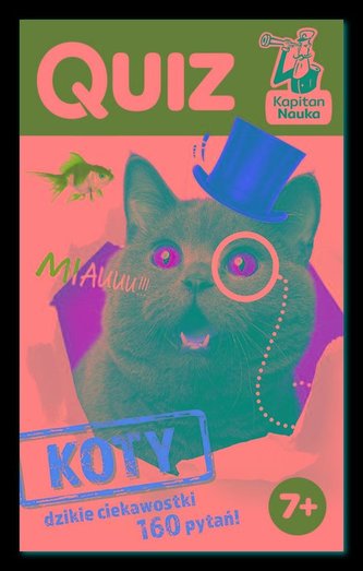 Kapitan nauka. Quiz Koty