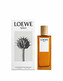 Loewe Solo Loewe - EDT 100 ml man