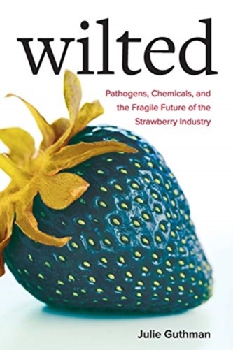 Wilted