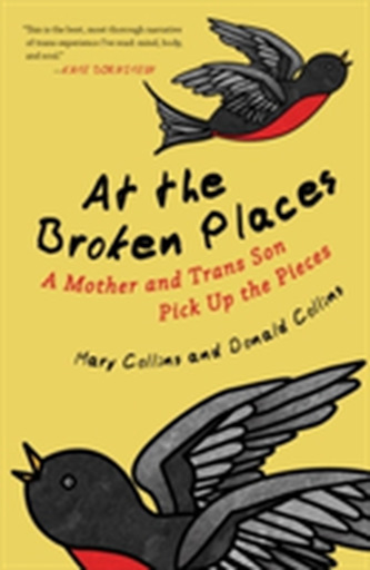 At The Broken Places