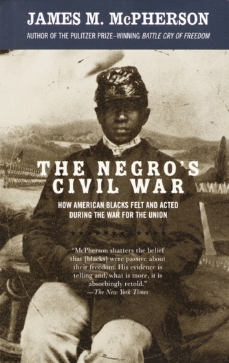 The Negro's Civil War