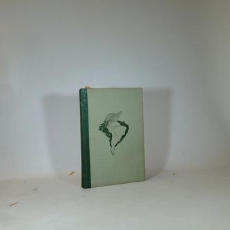 Sjížděl jsem dravé řeky