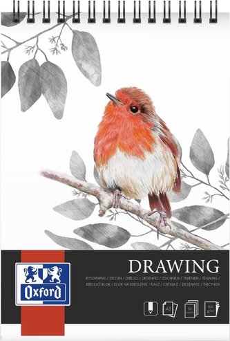 Blok artystyczny rysunkowy A3/30K 160g spirala