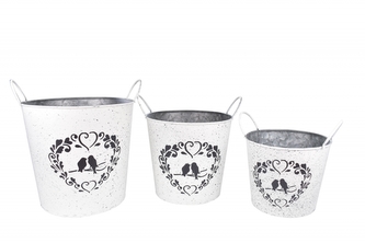 Plechový květináč kyblík Love birds, sada 3 ks