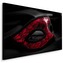 Płótno Red Mask