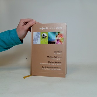 61 hodin, Seznam přání, Kde se snoubí šero se šerem, O dívce, kt