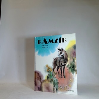 Kamzík