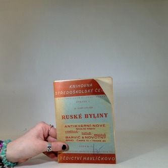 Ruské Byliny