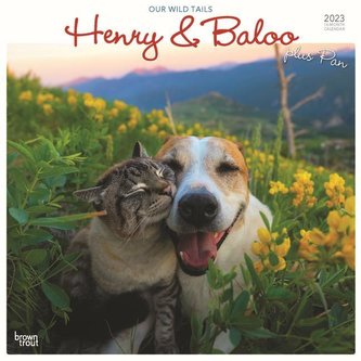 Henry & Baloo Our Wild Tails 2023 Square