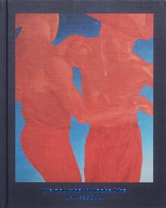 It's Not What It Looks Like