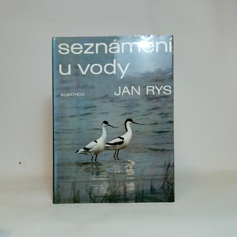 Seznámení u vody