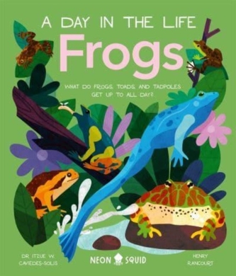 Frogs (A Day in the Life)