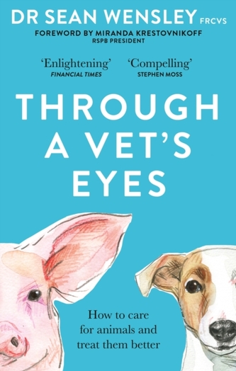 Through A Vet's Eyes