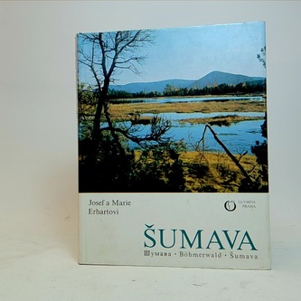 Šumava