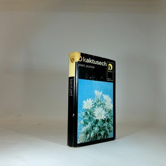 O kaktusech