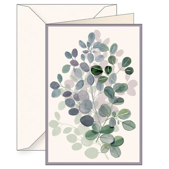 Karnet B6 + koperta 6122 Eukaliptus