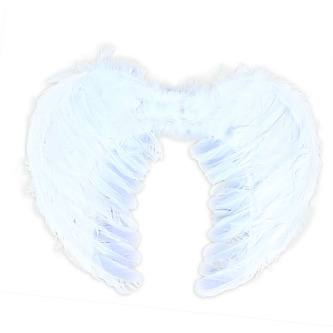 křídla andělská s peřím