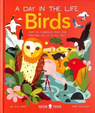 Birds (A Day in the Life)