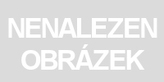 COLLECTA Delfínovec amazonský