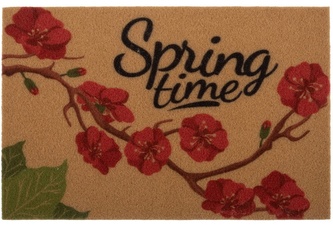 Rohožka - předložka DECORA - SPRING 40x60 cm MultiDecor