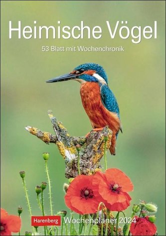 Heimische Vögel Wochenplaner 2024