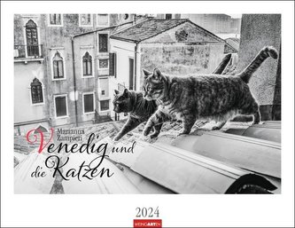Venedig und die Katzen Kalender 2024