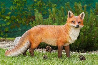 Liška polyston maxi