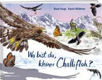 Wo bist du, kleiner Challifloh?