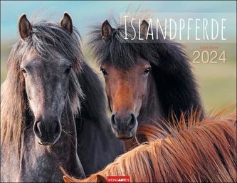 Islandpferde Kalender 2024