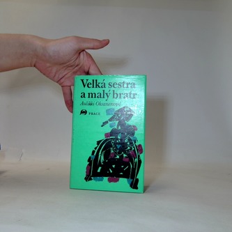 Velká sestra a malý bratr