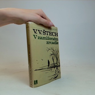 V zamlženém zrcadle