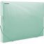 Box na spisy DONAU - A4,  plastový, transp.zelený
