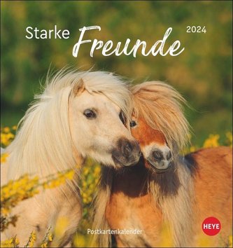 Pferde Postkartenkalender 2024