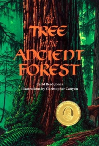 Tree in the Ancient Forest