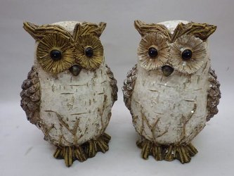 Sova design bříza střední