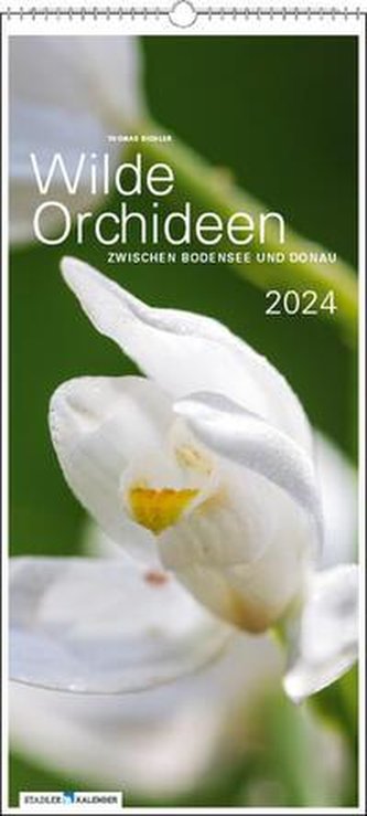 Wilde Orchideen 2024