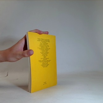 Víkend na Zuydcoote