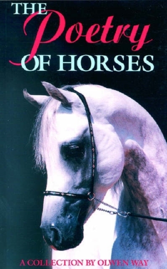 The Poetry of Horses