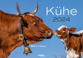 Kühe Kalender 2024