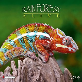 Rainforest Alive 2024