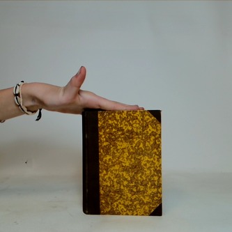 Pařížští Mohykáni