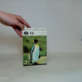 Zvířata celého světa 10: Tučňáci
