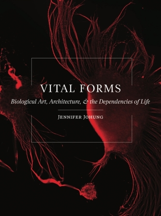 Vital Forms