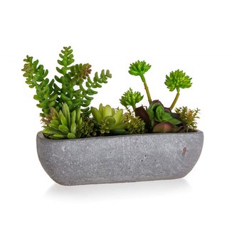 HOME DECOR Mix sukulentů v betonovém květináči 27 x 11,5 x 20 cm, zelený