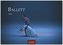 Ballett 2024 S 24x35cm