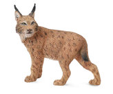 COLLECTA Rys