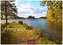 Finnland 2024 L 35x50cm
