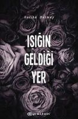 Isigin Geldigi Yer