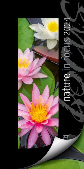 Nature in Focus - Passepartout-Kalender 2024