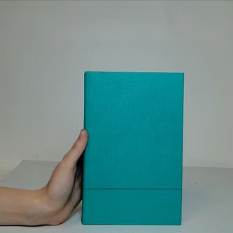 Pripad - Námesačníkovej netere, Chromého kanárika, s hracími koc